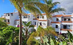 Sunny Oasis Amarilla Golf